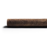 Aladino Sumatra Toro Limited Edition 2023 Cigar - 1 Single